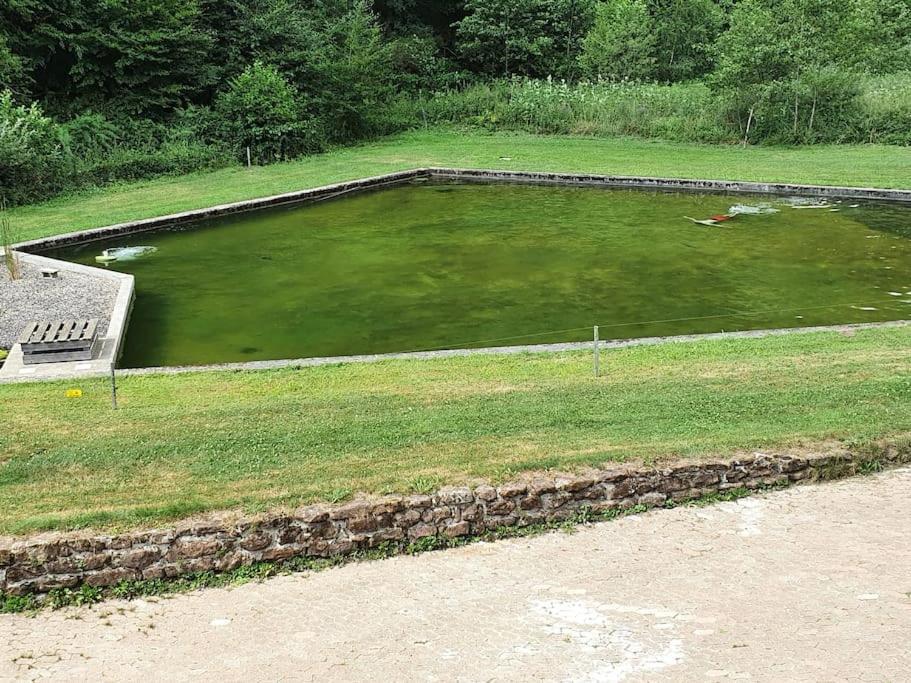 Вилла Le Saint Moulin De La Petite Pierre Lohr Экстерьер фото