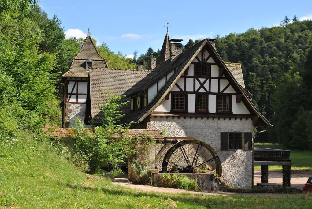 Вилла Le Saint Moulin De La Petite Pierre Lohr Экстерьер фото