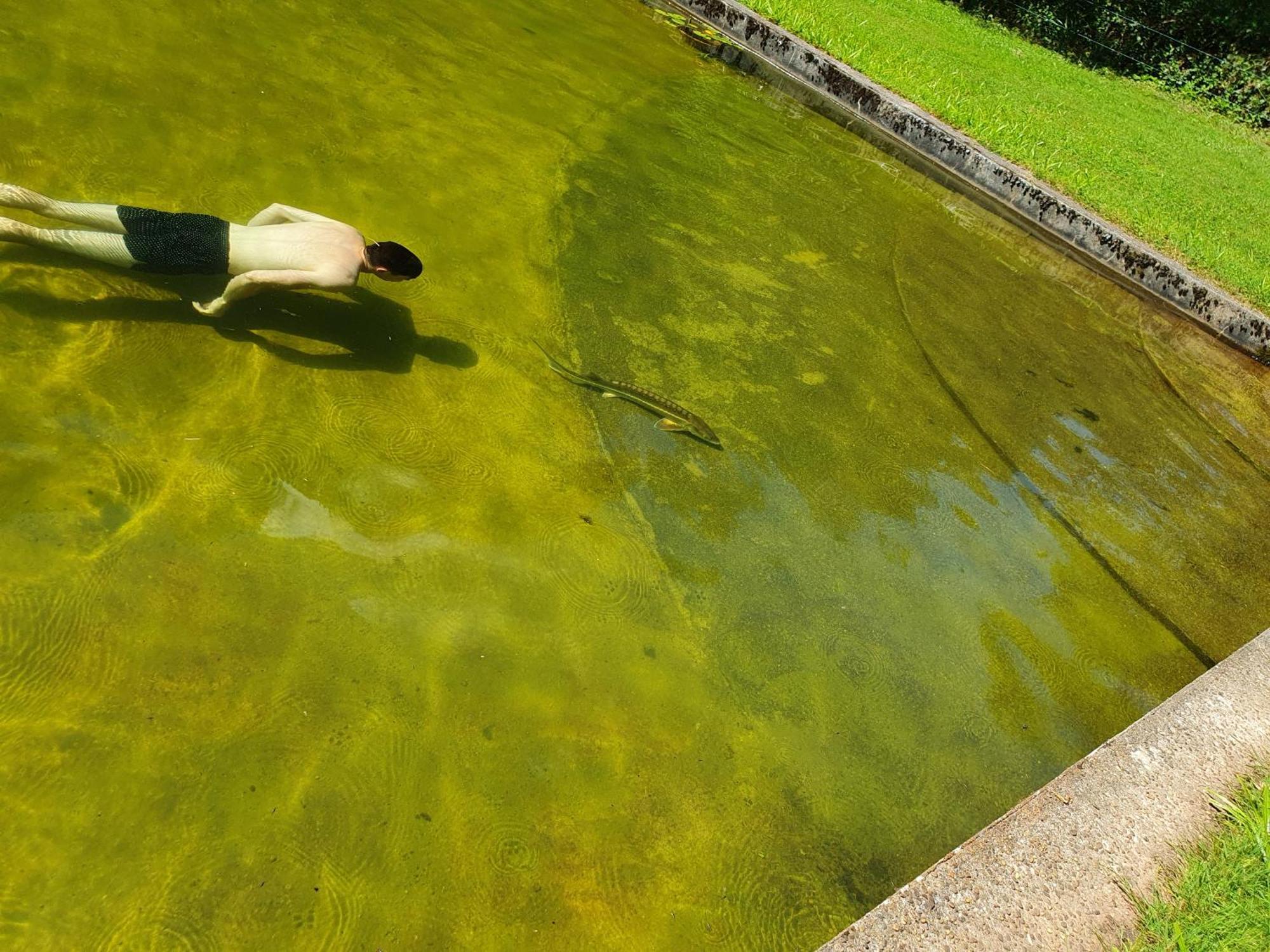 Вилла Le Saint Moulin De La Petite Pierre Lohr Экстерьер фото